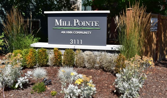 Mill Pointe property image
