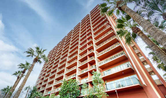 Hub Tampa property image