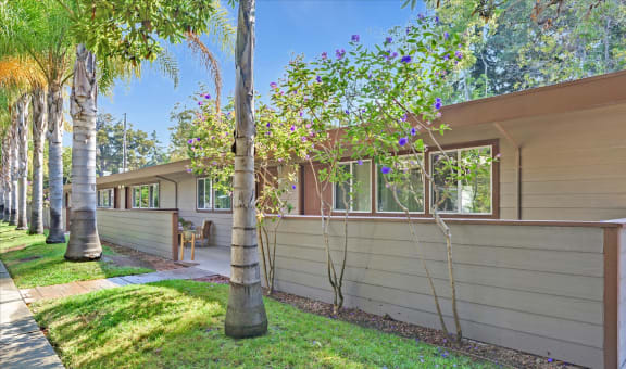 1273 Mills property image