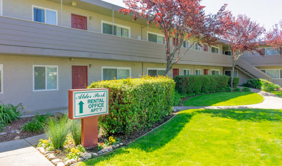 Alder Park property image