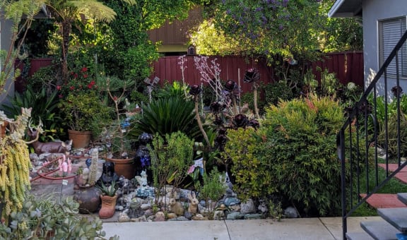 2010 San Ramon property image