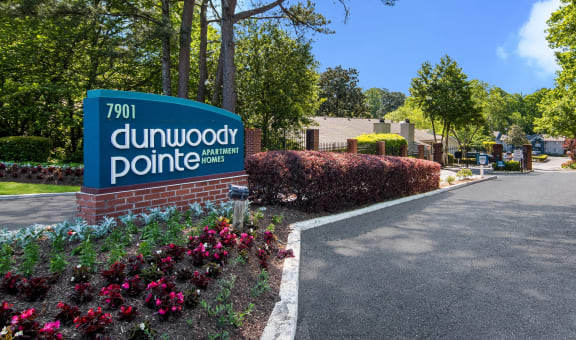Dunwoody Pointe property image