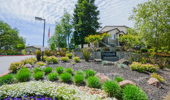 Overlook at Blue Ravine property image