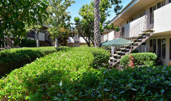 The Messina property image