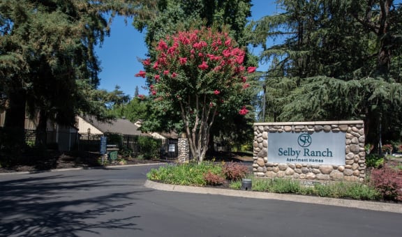Selby Ranch Apartment Homes property image
