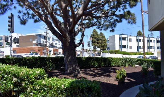 St. James Courtyard property image