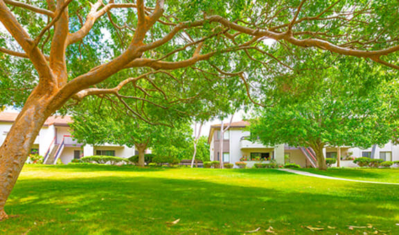 Village Park Apartments property image