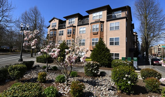Axcess 15 Apartments property image
