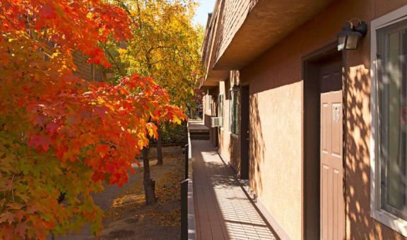 Oak Manor & Angel Street property image
