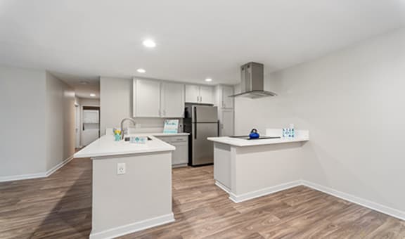 Pointe Luxe Apartment Homes property image
