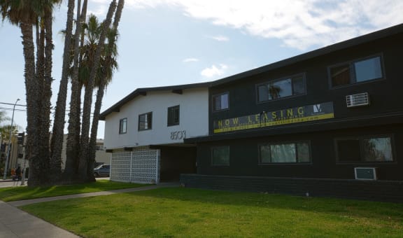 Contempo Apartment Homes property image