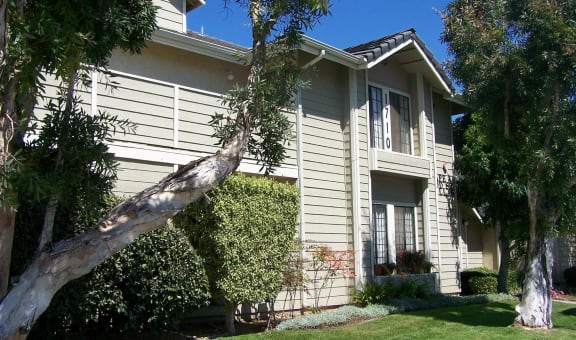 Cape Cod Apartments property image