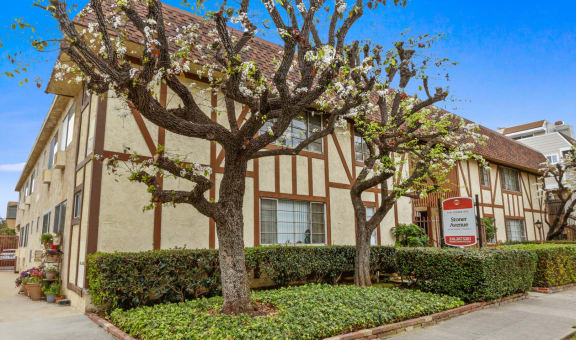 Stoner Avenue Apartments property image
