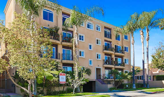 Wilcox Luxury Apartments property image