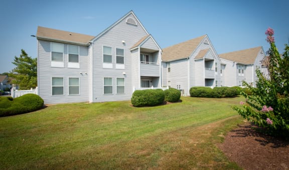 New Forest Apartments property image