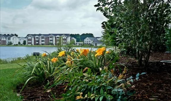 Village on the Lake Apartments property image