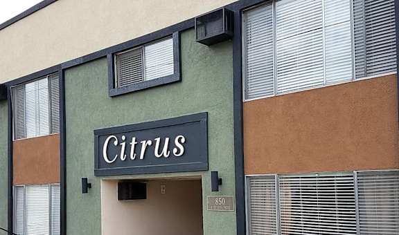 Citrus Apartments property image