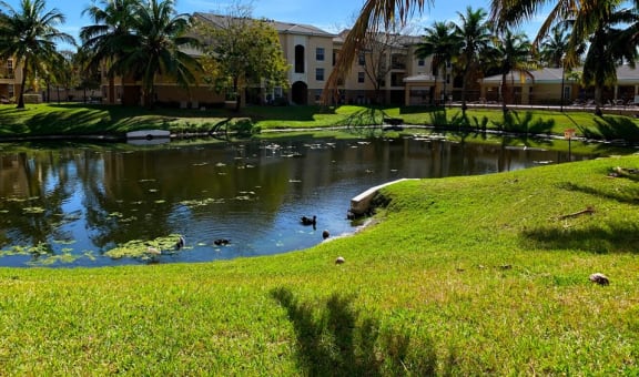 Portofino Apartments property image