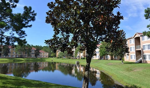 The Edge at Town Center property image