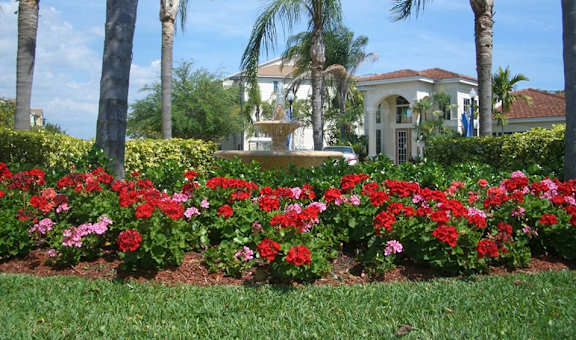 Hawks Landing property image