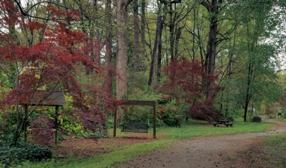 Affinitee at Pine Lake property image