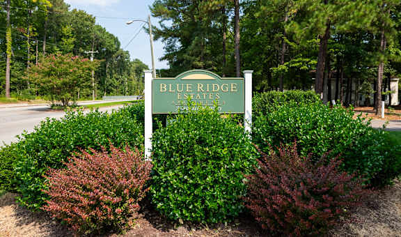 Blue Ridge Estates property image