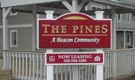 The Pines property image