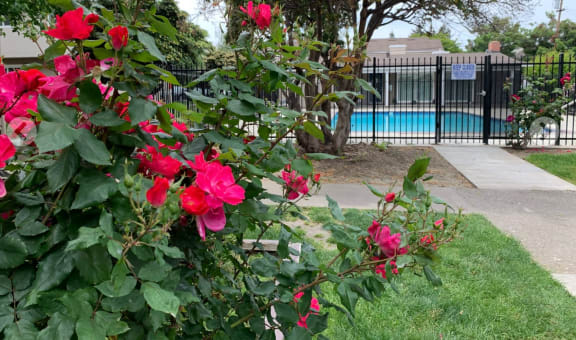 Del Prado I Apartments property image