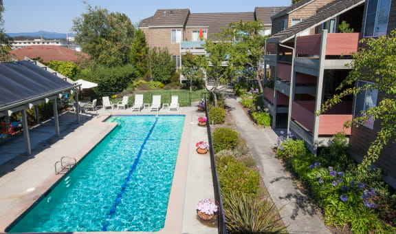 Cormorant Court Apartments property image