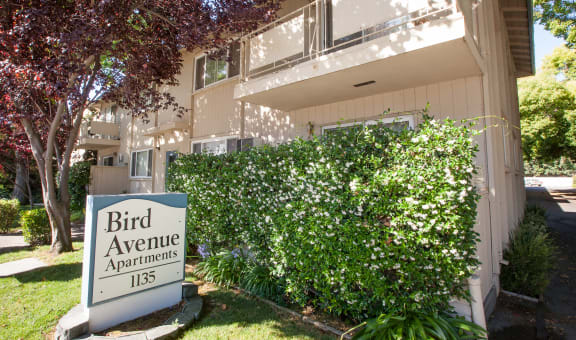 1135 Bird Avenue property image