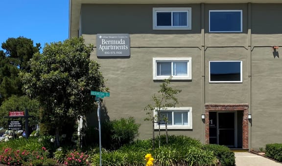 Bermuda Apartments property image