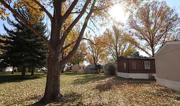 Circle Park property image