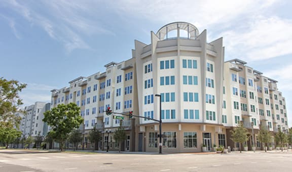 Amelia Court property image