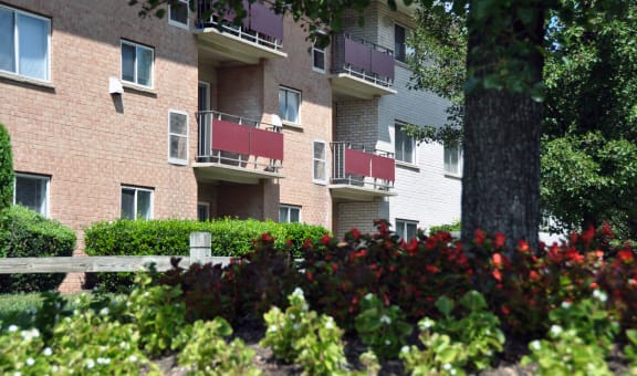 Margate Manor property image