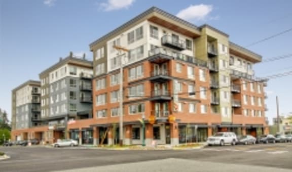 Madison25 property image