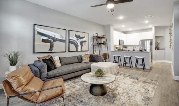 Argento at the Bridges Apartments property image