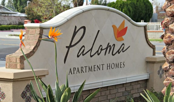 Paloma Apartment Homes property image