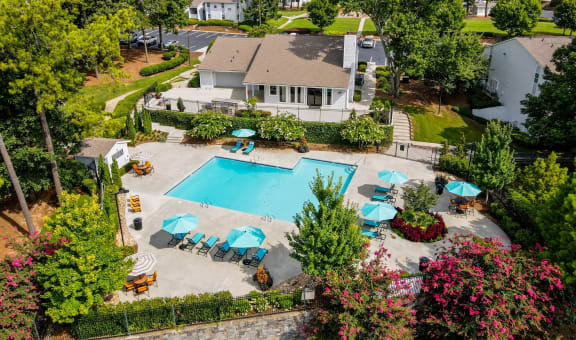 Domain Apartments property image