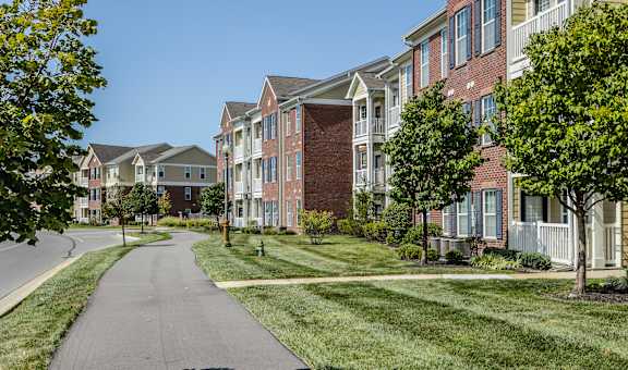 Bella Vista Apartments property image