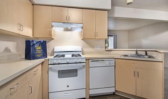 Indian Lakes Apartments property image