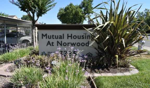 Mutual Housing at Norwood property image