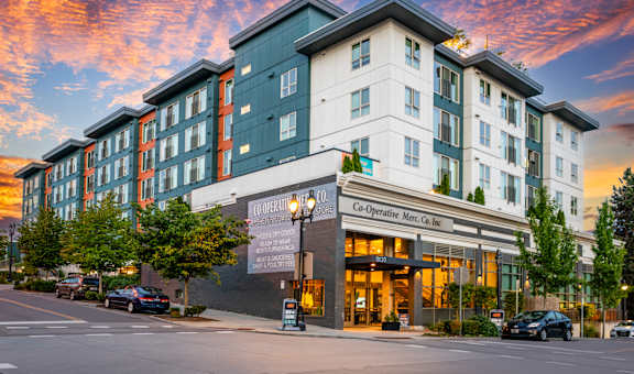The Merc property image