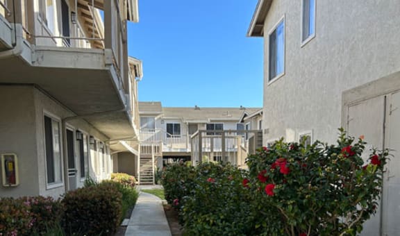 Carlsbad Sunset Senior Apts property image