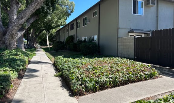Edison Apartments property image