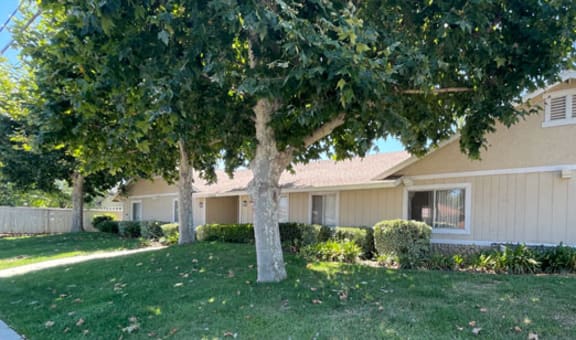 Eucalyptus Apartments property image