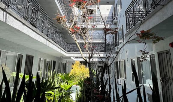 The Carlton property image