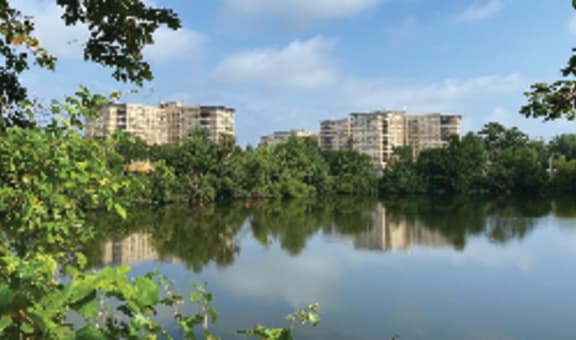 Parkview Towers property image