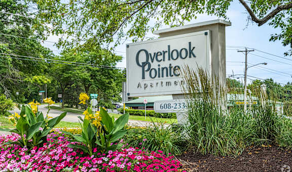 Overlook Pointe property image
