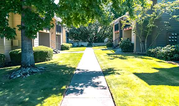 Courtside Apartments property image