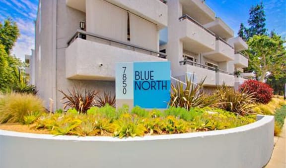 Blue North property image